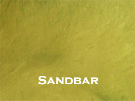 Sandbar